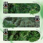 Woody Essential Oils Collection - 6x10ML Set