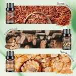 Woody Essential Oils Collection - 6x10ML Set