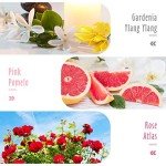 MitFlor Women's Fragrance Oil Set, 6 x 10ml