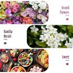 MitFlor Women's Fragrance Oil Set, 6 x 10ml