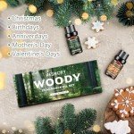 Woody Essential Oils Collection - 6x10ML Set