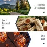 Men's Premium Fragrance Oil Gift Set