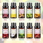 Fruity Essential Oils Set - 10x10ML Boxed