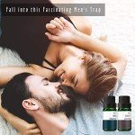 Men's Premium Fragrance Oil Gift Set