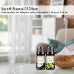 Fruity Essential Oils Set - 10x10ML Boxed