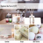 Fruity Essential Oils Set - 10x10ML Boxed