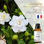 Esslux Gardenia Essential Oil - 30 ml for Diffusers