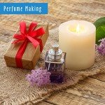 Sea Salt Bergamot Premium Fragrance Oil 30ml