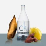 Calvin Klein CK IN2U Men's Eau de Toilette