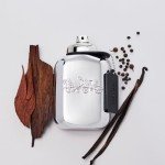 Coach Platinum Eau De Parfum for Men, 3.4oz