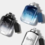 Coach Platinum Eau De Parfum for Men, 3.4oz