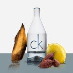 Calvin Klein CK IN2U Men's Eau de Toilette