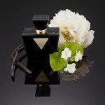 Guess Seductive Noir Women's Fragrance Mist 8.4 oz
