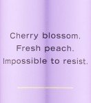 Victoria's Secret Love Spell Fragrance Mist 8.4 oz
