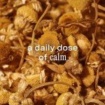 Addison Rae Chill Fragrance Mist - Floral Woody