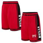 NBA Chicago Bulls Classic Basketball Shorts - XXXL