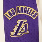 Pro Standard Big Boys NBA Los Angeles Lakers Retro Classics Short Eggshell/Purple M
