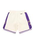 Pro Standard Big Boys NBA Los Angeles Lakers Retro Classics Short Eggshell/Purple M