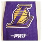 Pro Standard Big Boys NBA Los Angeles Lakers Retro Classics Short Eggshell/Purple M