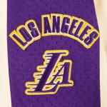 Pro Standard Big Boys NBA Los Angeles Lakers Retro Classics Short Eggshell/Purple M