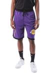Lebron James Lakers Men's Workout Basketball Shorts