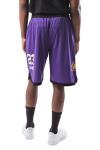 Lebron James Lakers Men's Workout Basketball Shorts