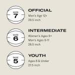 Wilson NBA Authentic Series Outdoor Basketball, Size 5