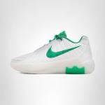 Nike Lebron Witness IX Kids' Basketball Shoes