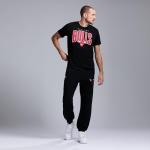 NBA Chicago Bulls Men's Graphic Tee - Black
