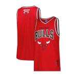 Boys Chicago Bulls NBA Mesh Tank Top 10-12