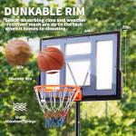 Adjustable Portable Basketball Hoop with 44 Inch Backboard