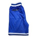 Men's Quick-Dry Basketball Workout Mesh Shorts