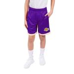 Boys' Knit Basketball Training Shorts in Team Color