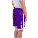 Boys' Knit Basketball Training Shorts in Team Color