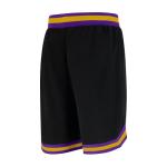 NBA Team Logo Men's Mesh Basketball Shorts