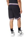 NBA Team Logo Men's Mesh Basketball Shorts