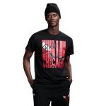 NBA Men's Team Graphic Tee - Black, Large