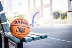 Wilson NBA DRV Series Size 7 Basketball - Brown