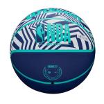 Wilson NBA DRV Plus Camo Outdoor Basketball