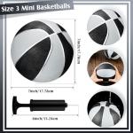 Mini Rubber Basketballs Set with Pump and Hoop