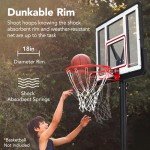 Adjustable 10ft Portable Basketball Hoop System
