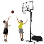 Portable 10 FT Adjustable Basketball Hoop with Wheels