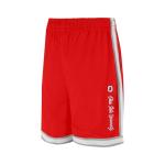 Ohio State NCAA Men's Basketball Training Shorts