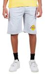 NBA Los Angeles Lakers Men's Stripe Workout Shorts