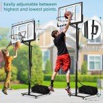 Portable 10 FT Adjustable Basketball Hoop with Wheels