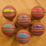 Wilson Evolution Size 7 Indoor Basketball, Navy