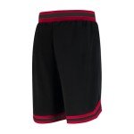 Men's NBA Team Logo Basketball Training Shorts