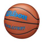 Wilson Evolution Game Basketball Size 7 Royal