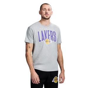 NBA Los Angeles Lakers Men's Graphic T-Shirt - Grey