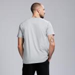 NBA Los Angeles Lakers Men's Graphic T-Shirt - Grey